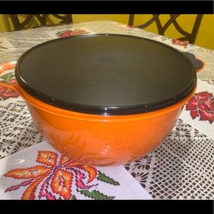 Tupperware container 42 cups